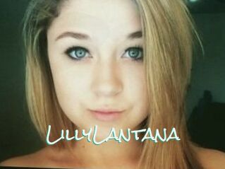 LillyLantana