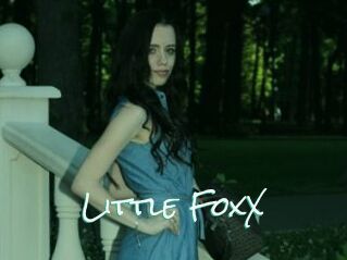 Little_FoxX