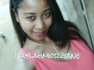 Laylahmorgane