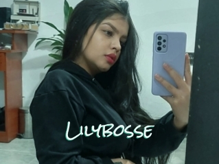 Lilybosse