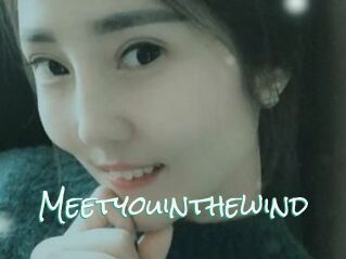 Meetyouinthewind