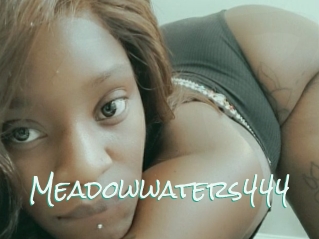 Meadowwaters444