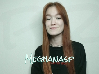 Meghanasp