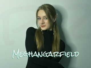 Meghangarfield