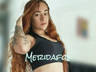 Meridafox