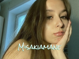 misakiamane Preteen fucking