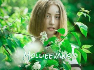 Mollieevans