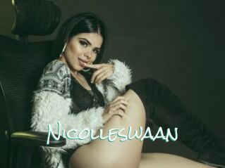 Nicolleswaan