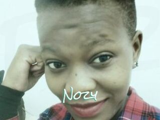 Nozy
