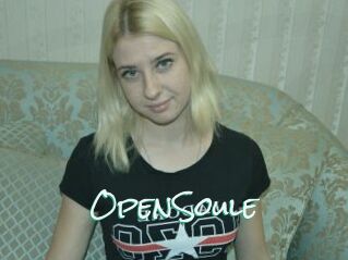 OpenSoule