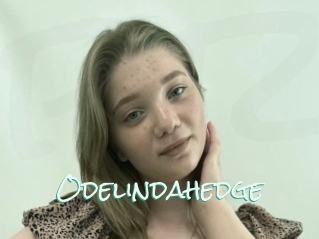 Odelindahedge