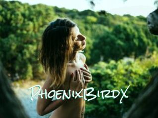 PhoenixBirdX