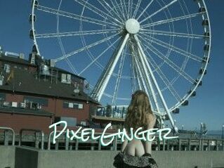 PixelGinger