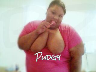 Pudgy