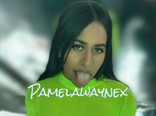 Pamelawaynex