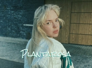 Plantarosa