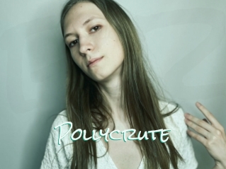 Pollycrute