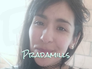 Pradamills