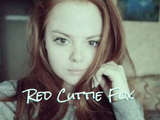 Red_Cuttie_Fox