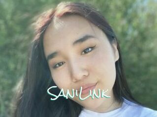 SaniLink