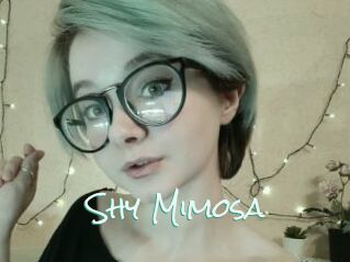 Shy_Mimosa