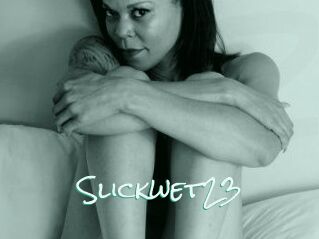 Slick_wet23