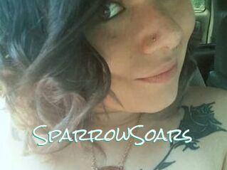 SparrowSoars