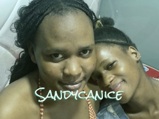 Sandycanice