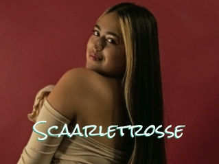 Scaarletrosse