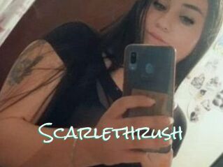 Scarlethrush