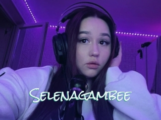 Selenagambee