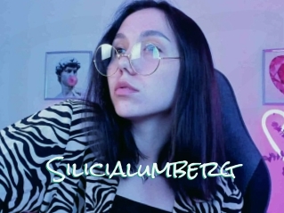 Silicialumberg