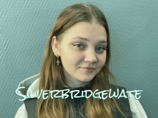 Silverbridgewate