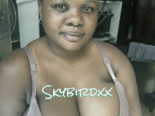 Skybirdxx