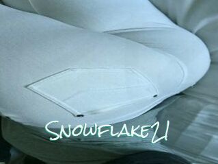 Snowflake21
