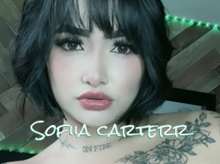 Sofiia_carterr