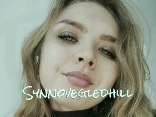 Synnovegledhill