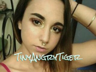 TinyAngryTiger