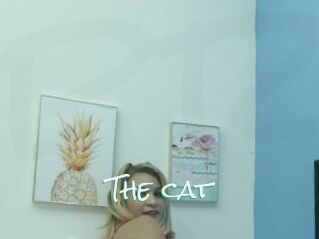 The_cat