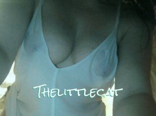 Thelittlecat