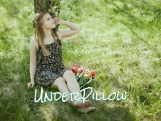 UnderPillow