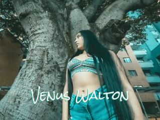 Venus_Walton