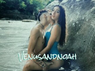 Venusandnoah