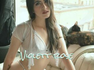 Violett_rose