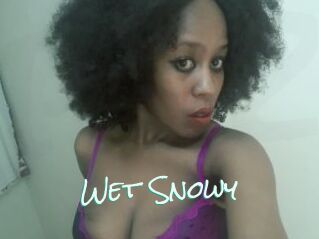 Wet_Snowy