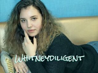 Whitneydiligent