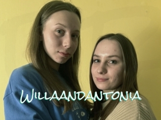 Willaandantonia