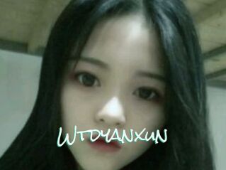 Wtdyanxun